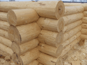 Сруб из кедра